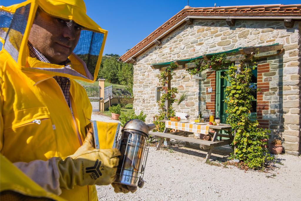 Agriturismo La Coccinella Valfabbrica Exteriér fotografie